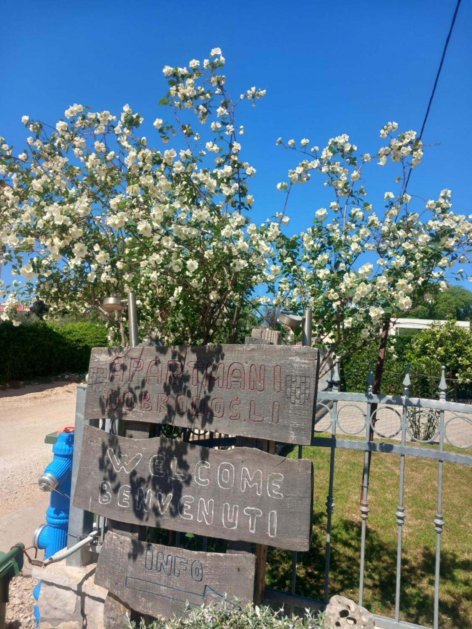 Apartmani Goga Biograd Na Moru Exterior photo